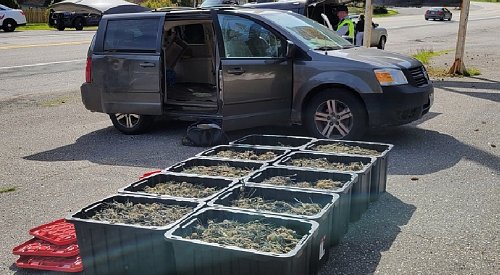 BC driver allegedly caught with 10 storage bins full of cannabis