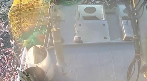 BC fishing captain fined over $25K for multiple violations in 2023
