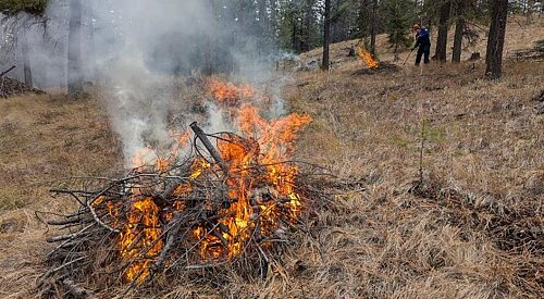 Lake Country pile burning project set to begin today