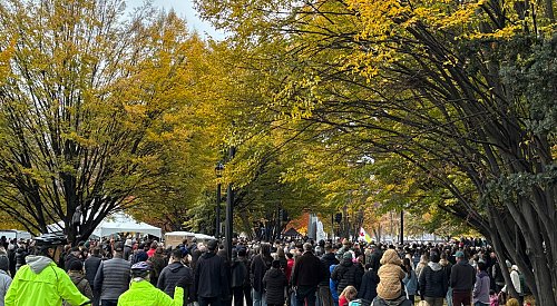 REPLAY: Kelowna’s Remembrance Day ceremony at the City Park Cenotaph